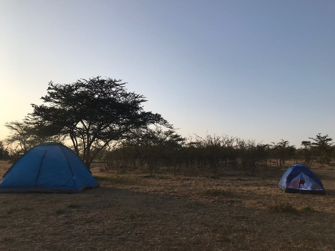 Nashulai Mobile Camp