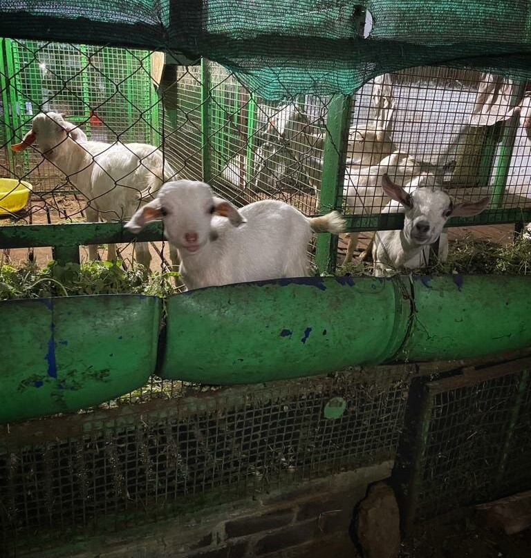 Seethavanam Natural Farm-孔巴托必去景点