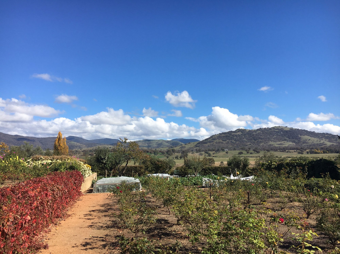 Canberra Guided Tours-堪培拉必去景点