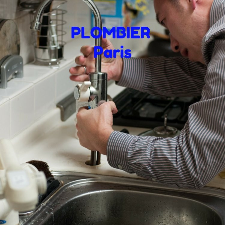 Plombieres-les-Dijon旅游攻略图片