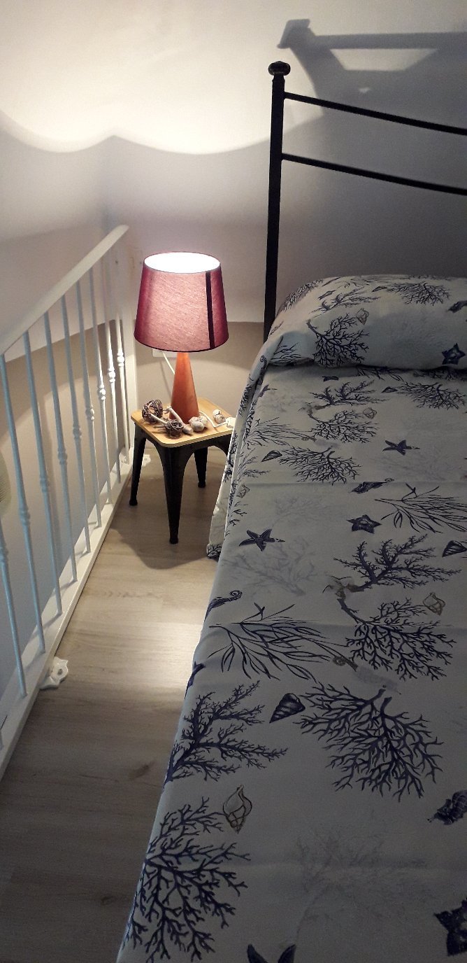 B&B Palazzo Mosca-官方