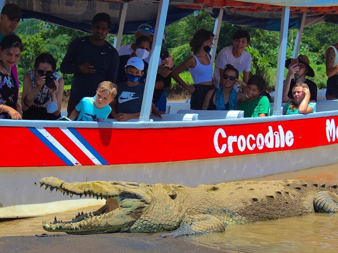 Crocodile Man Tour景点图片