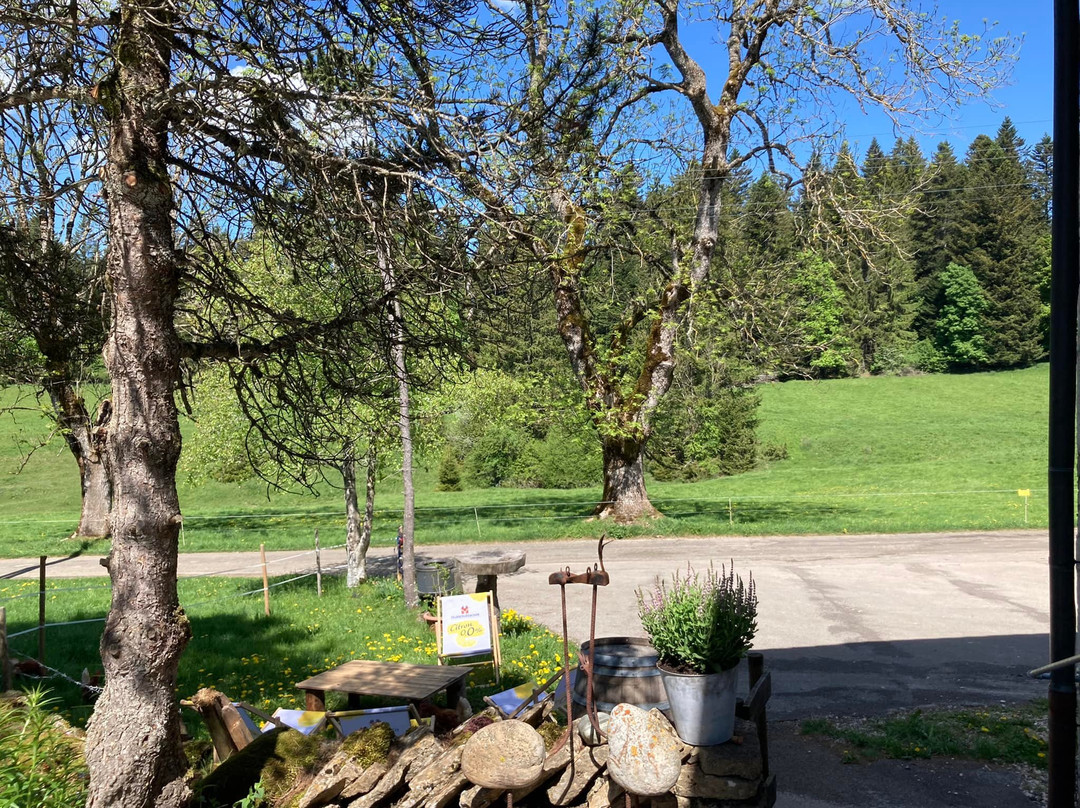 Café-restaurant du Sapin