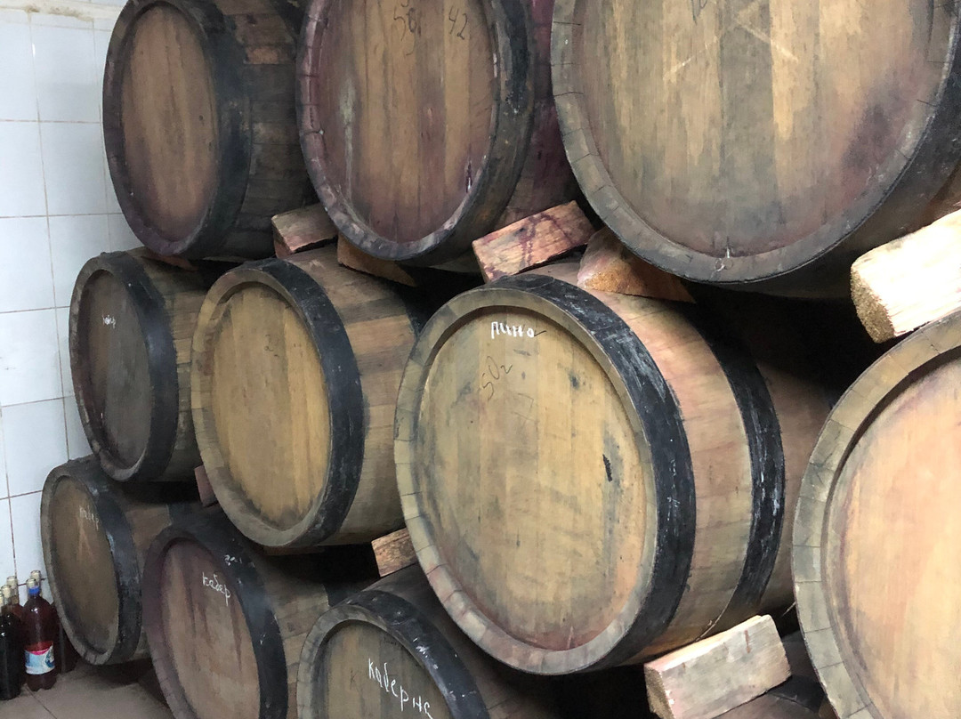 Parkent旅游攻略图片