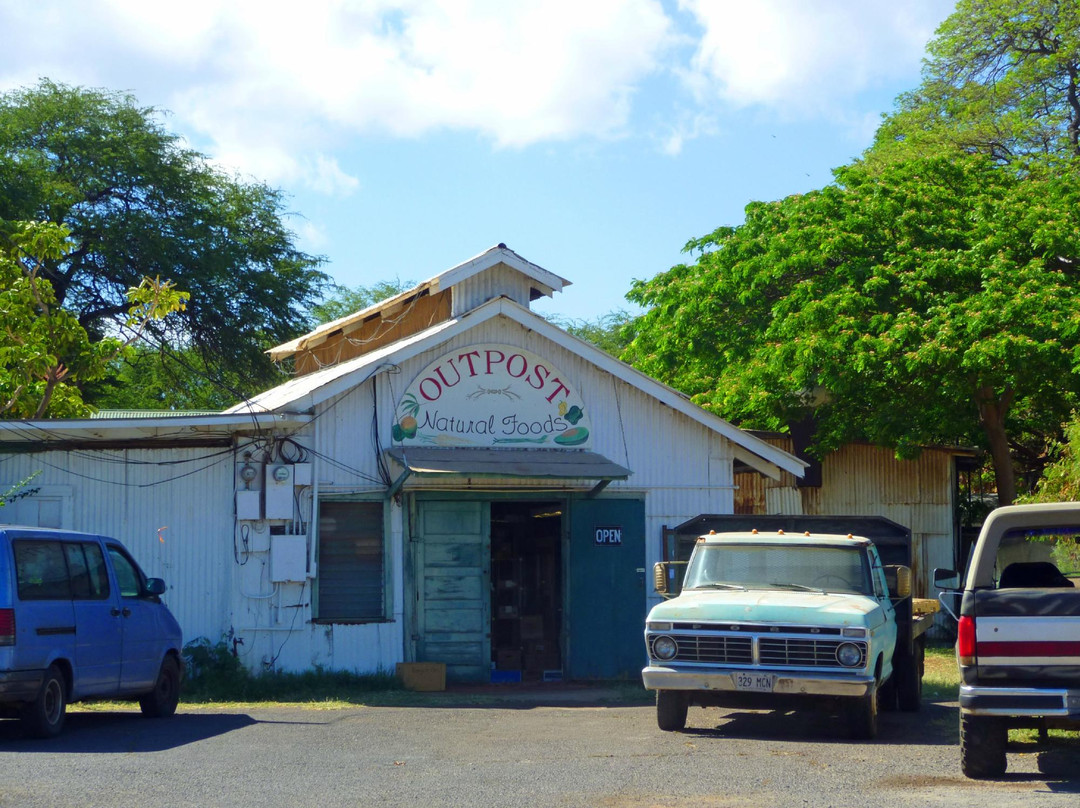 A Touch of Molokai