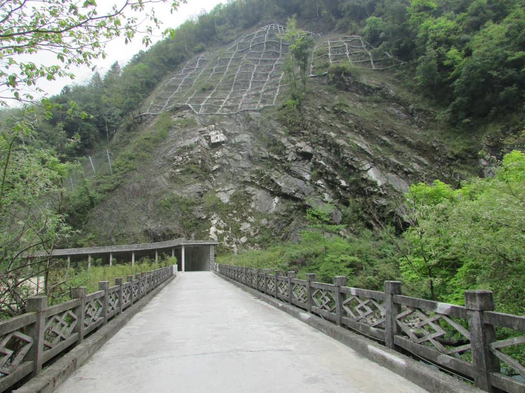 核桃坪保护大熊猫研究中心景点图片