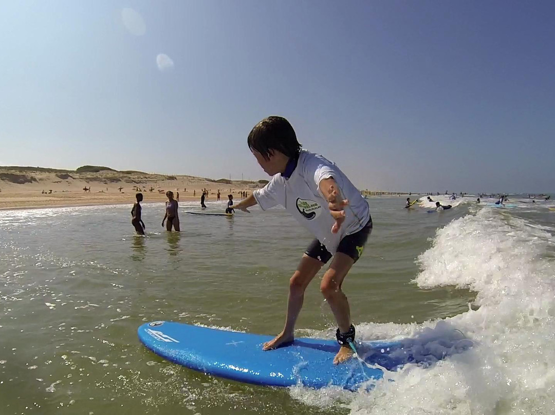 Kiwadu Surf School景点图片