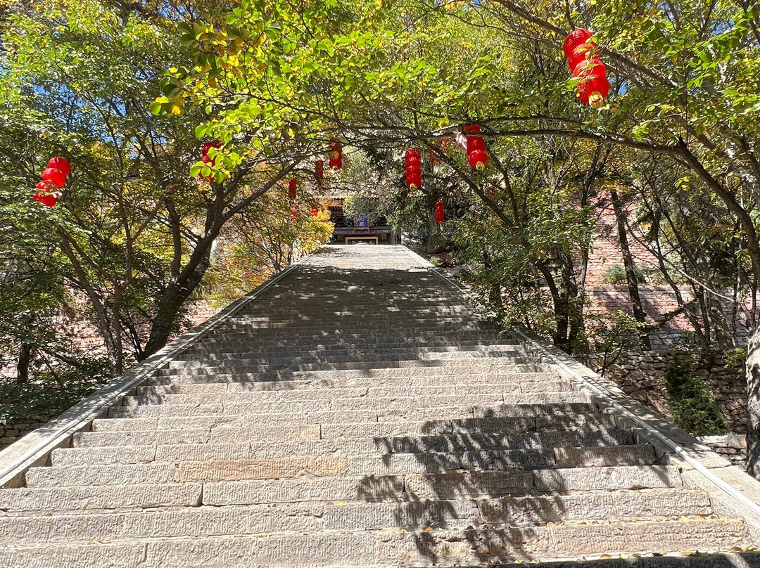 恒山森林公园-浑源县必去景点