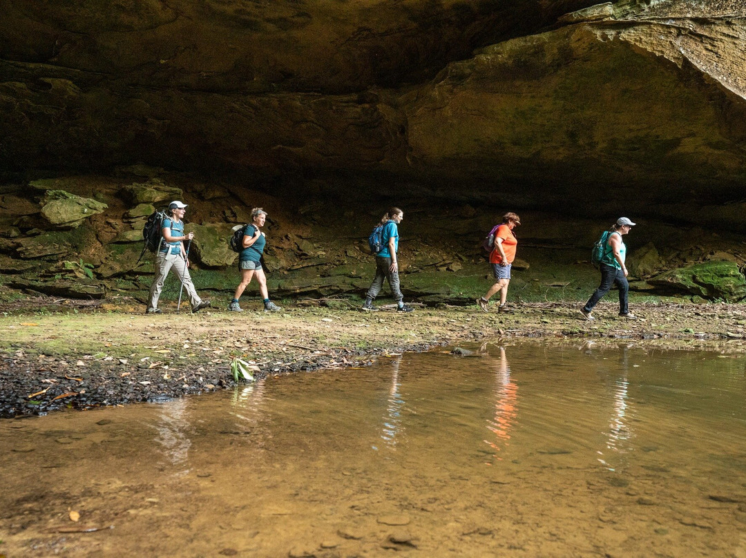 Red River Gorge Experiences