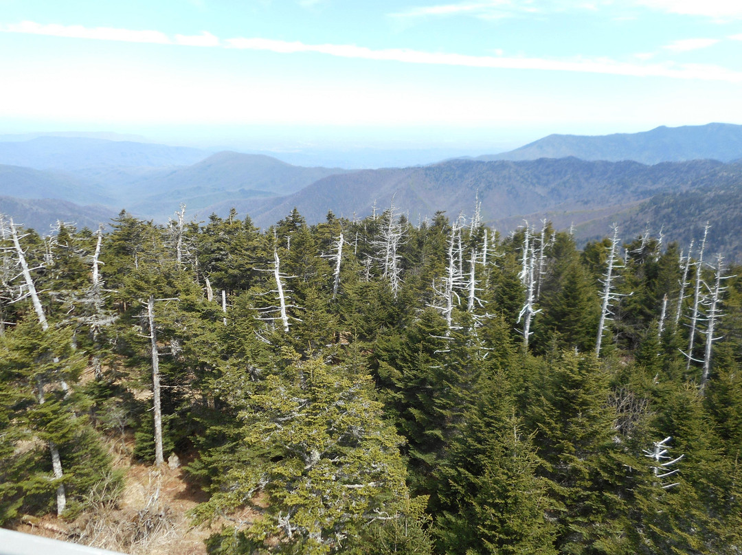 Kuwohi-大雾山国家公园必去景点