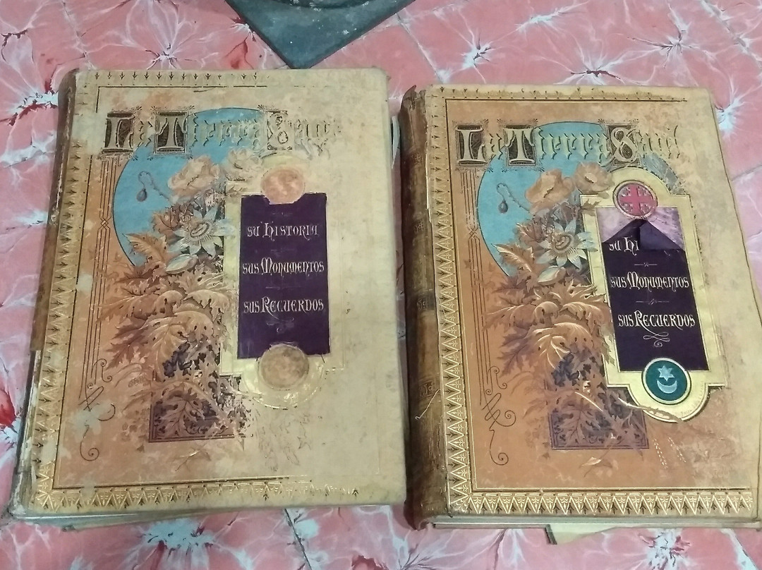 Cafe  Te  Arte  Libros y Antiguedades-梅里达必去景点