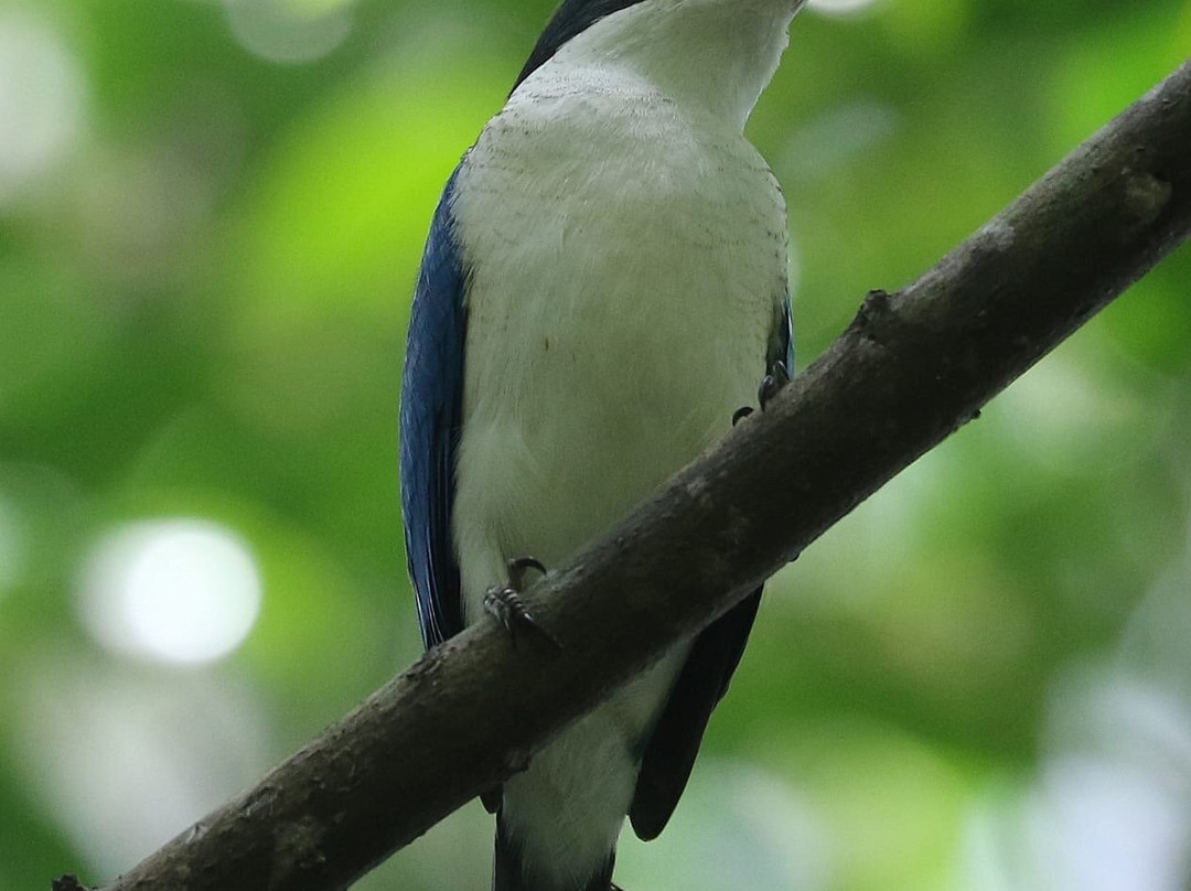 Admiralty Park-新加坡必去景点