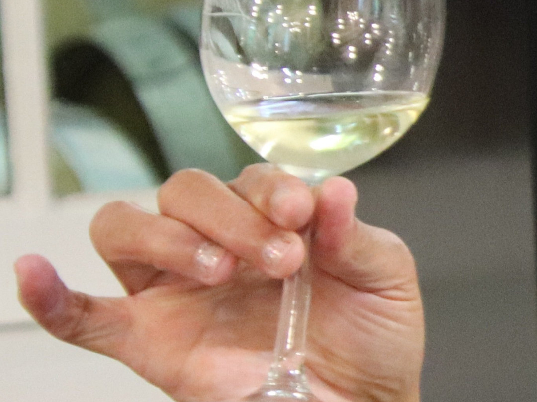 Zevenwacht Cellar & Vineyards-Kuils River必去景点