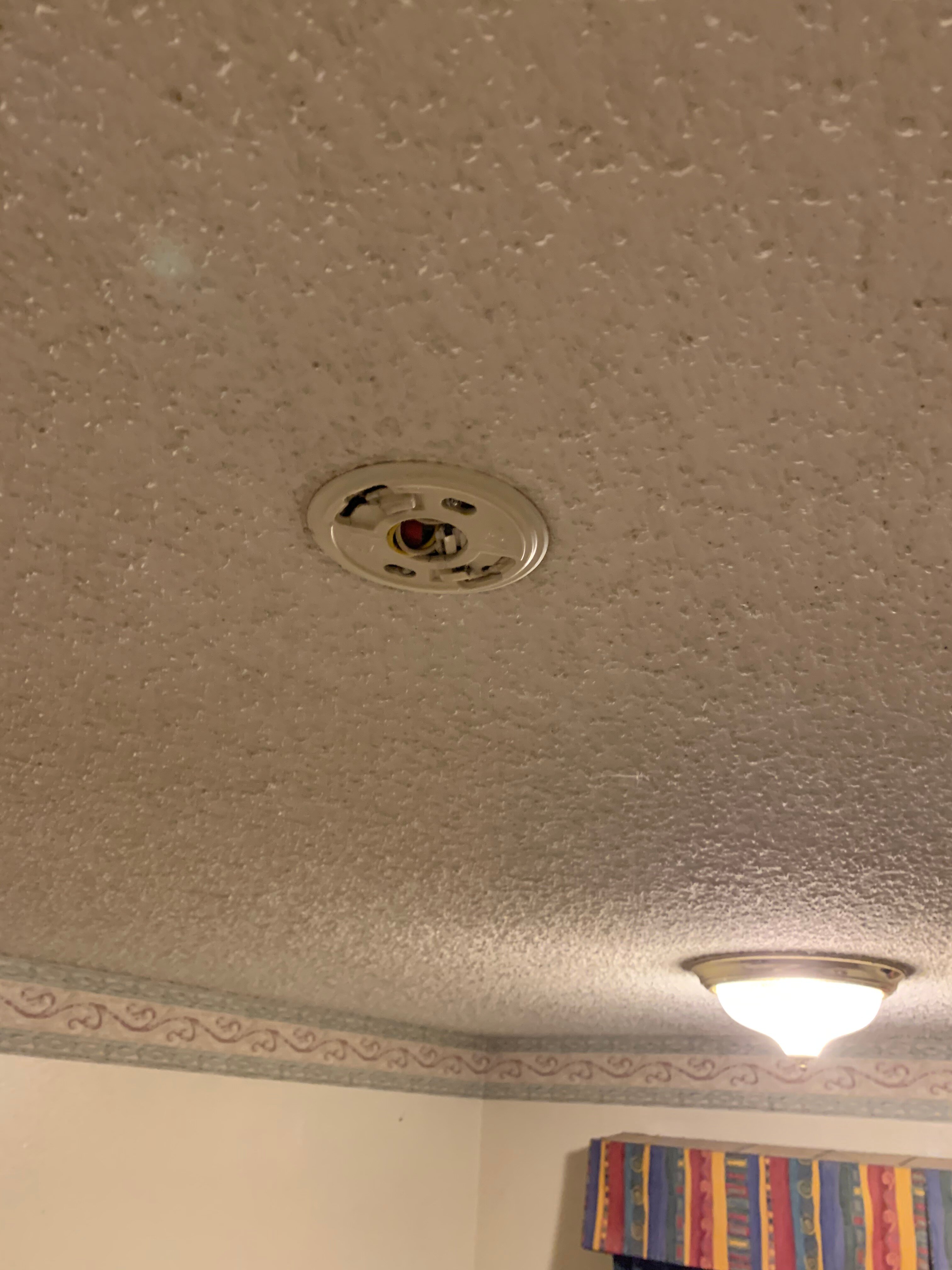 汤豪斯汽车旅馆-官方