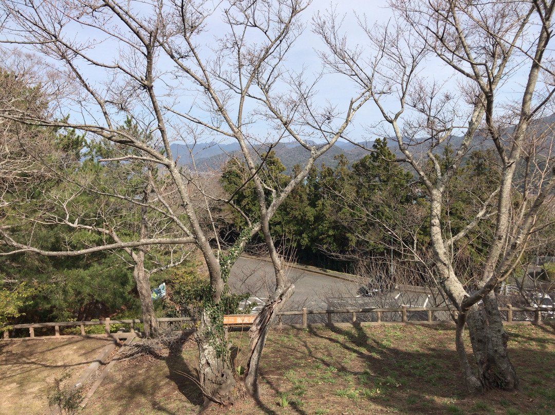 Mt. Kasayama景点图片