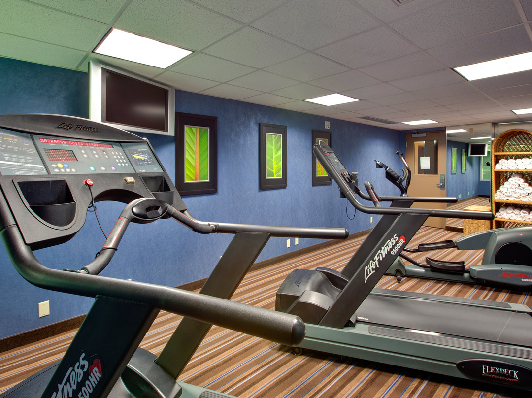 查塔姆南部智选假日酒店主图