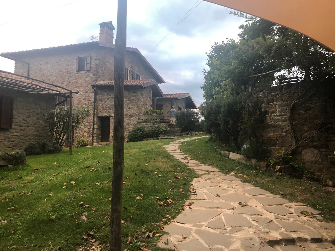 Fattoria Poggio Di Dante