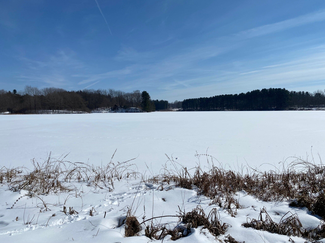 Trail Lake Park景点图片