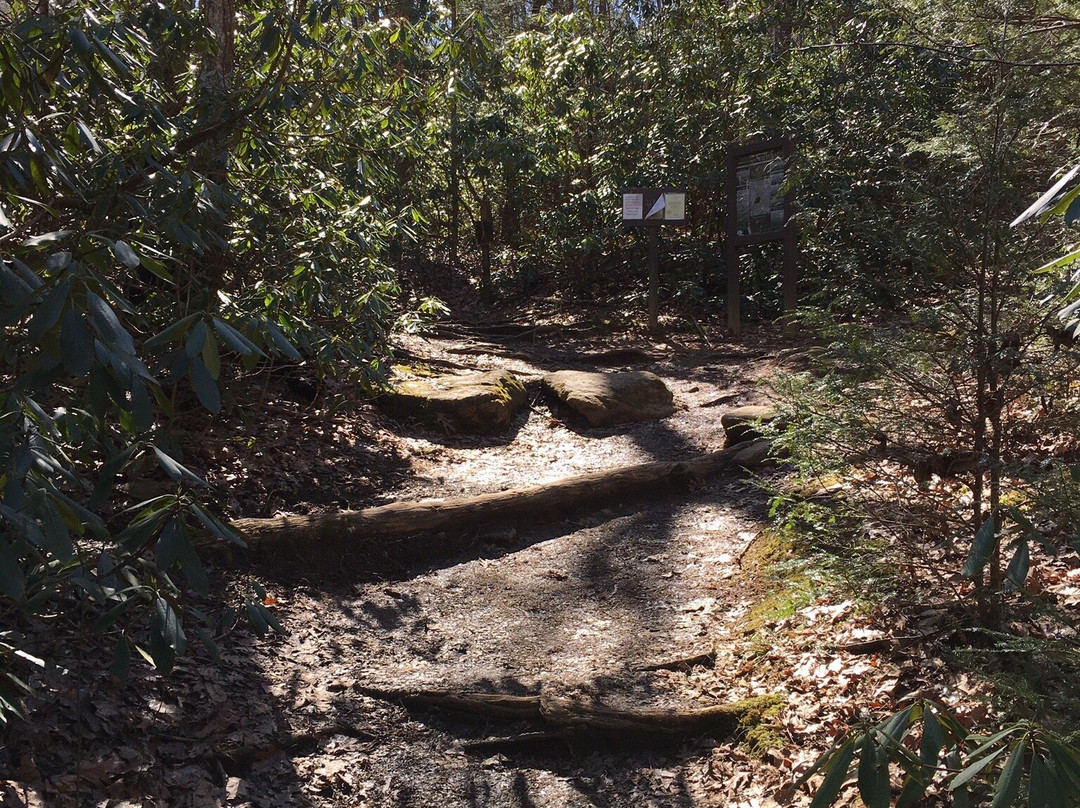 Byron Herbert Reece Trail景点图片