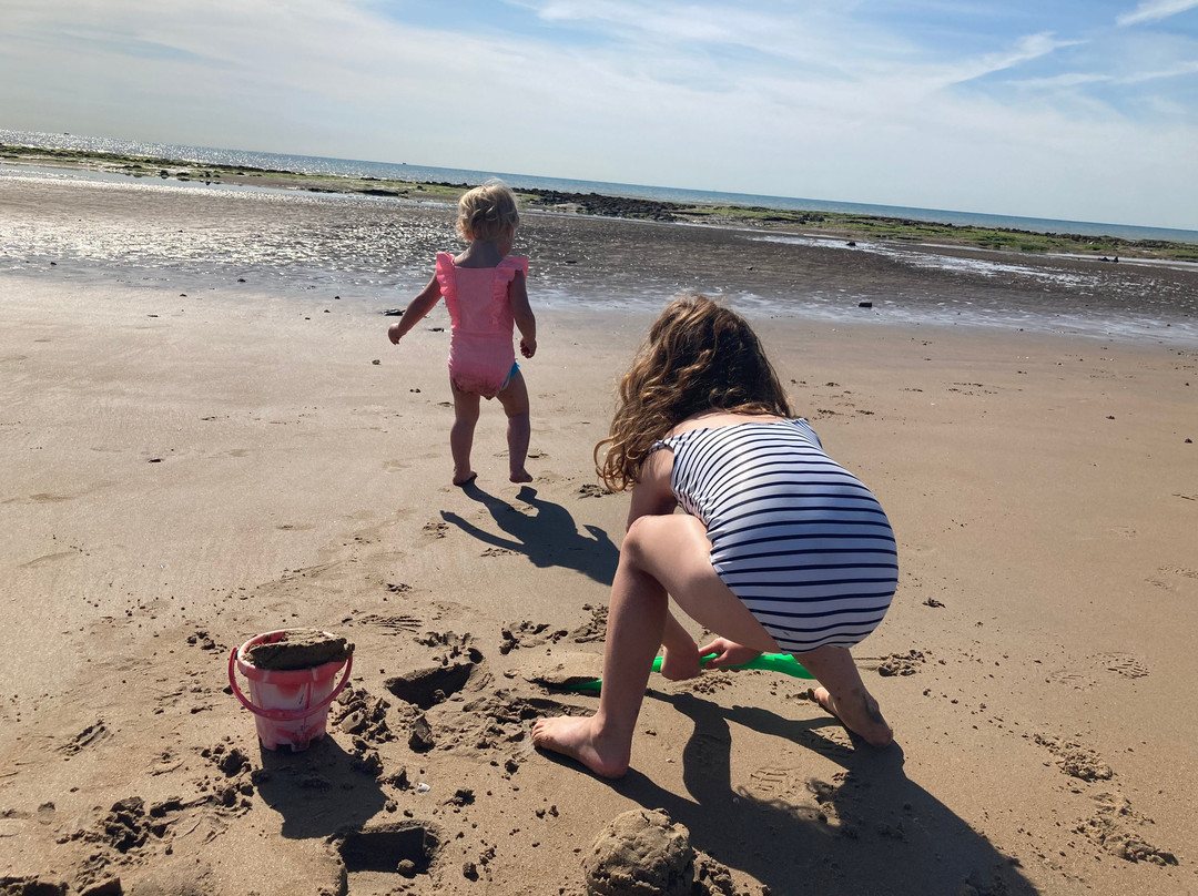 Winchelsea Beach景点图片