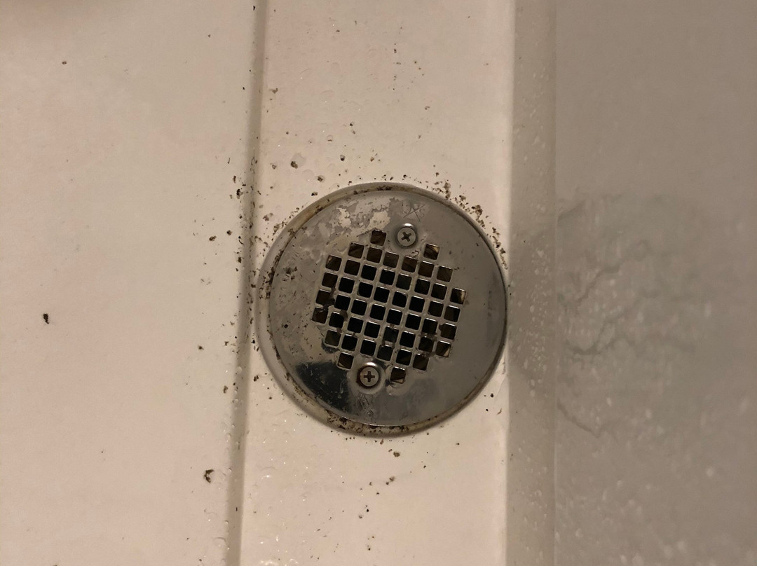 圣路易斯机场万丽酒店主图