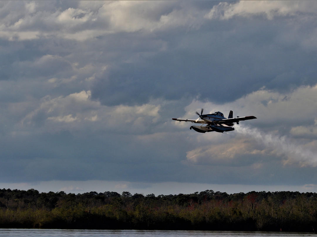 Justin's Jungle Airboat Rides-Umatilla必去景点