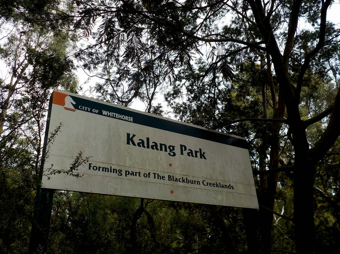 Kalang Park景点图片