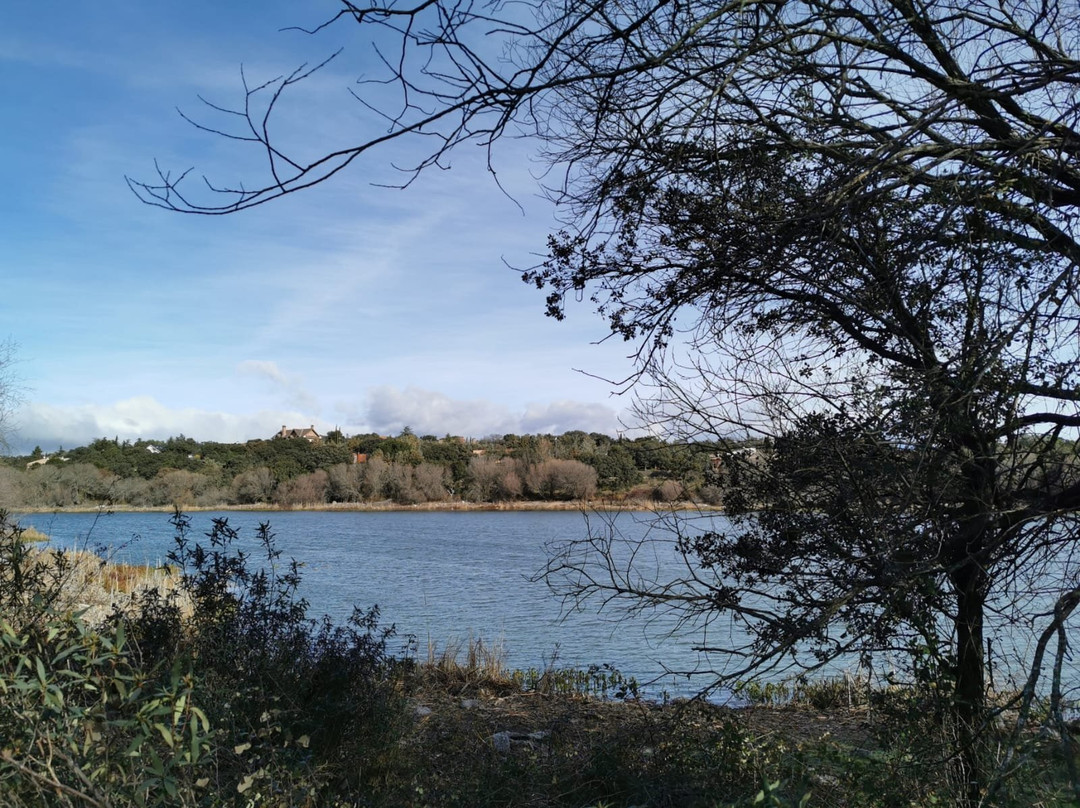 Embalse de los Arroyos景点图片