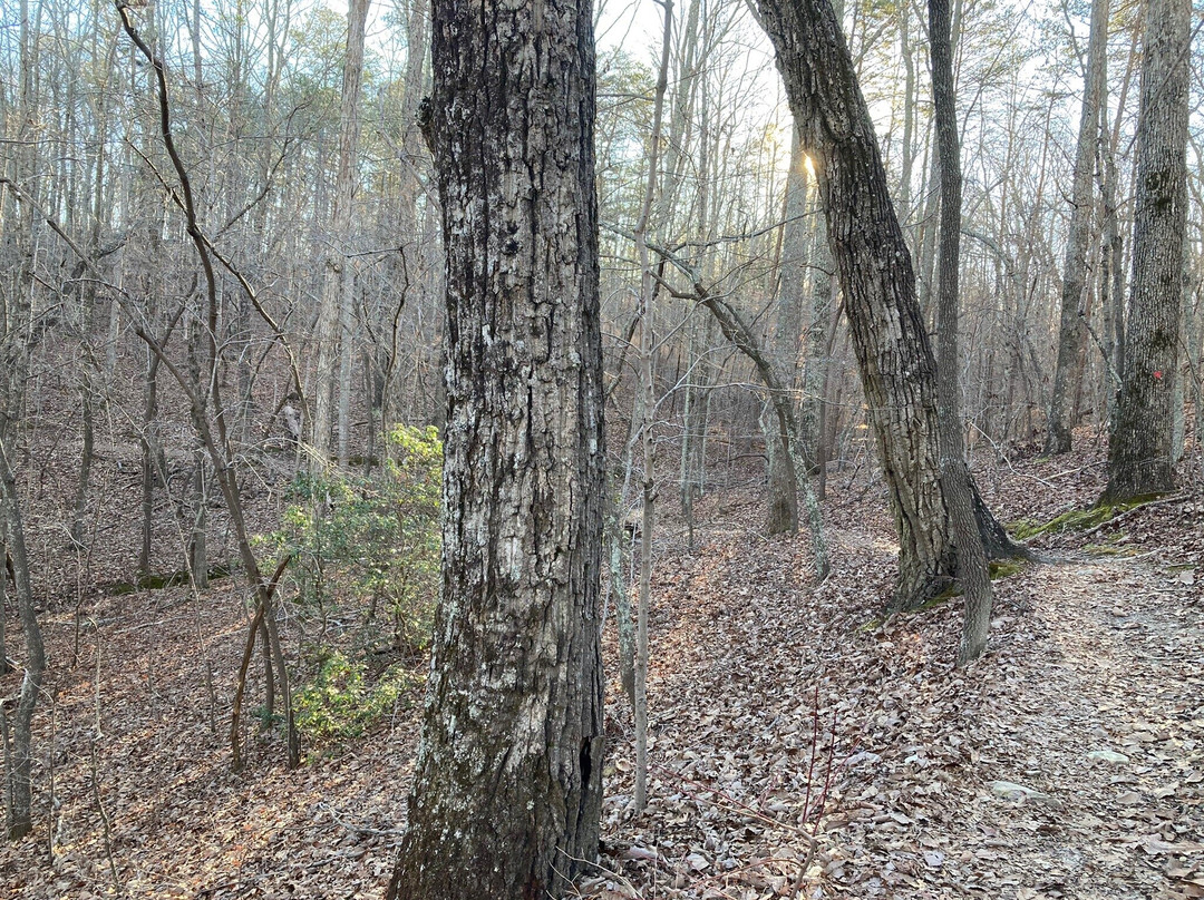 Kings Mountain State Park-Blacksburg必去景点