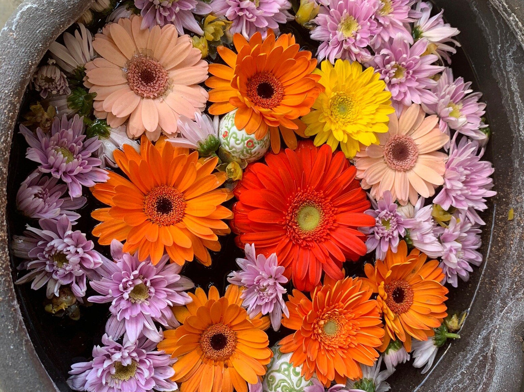 Gyodahachiman Shrine-行田市必去景点