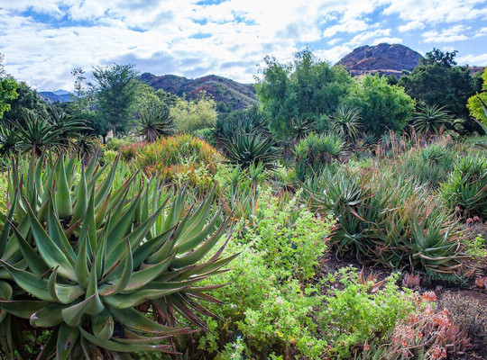 Taft Gardens & Nature Preserve-奥海必去景点