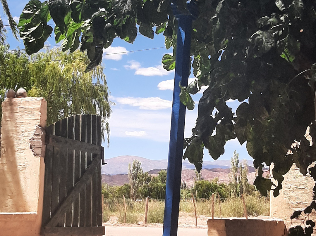 Aire de Barreal Hostel Andino主图