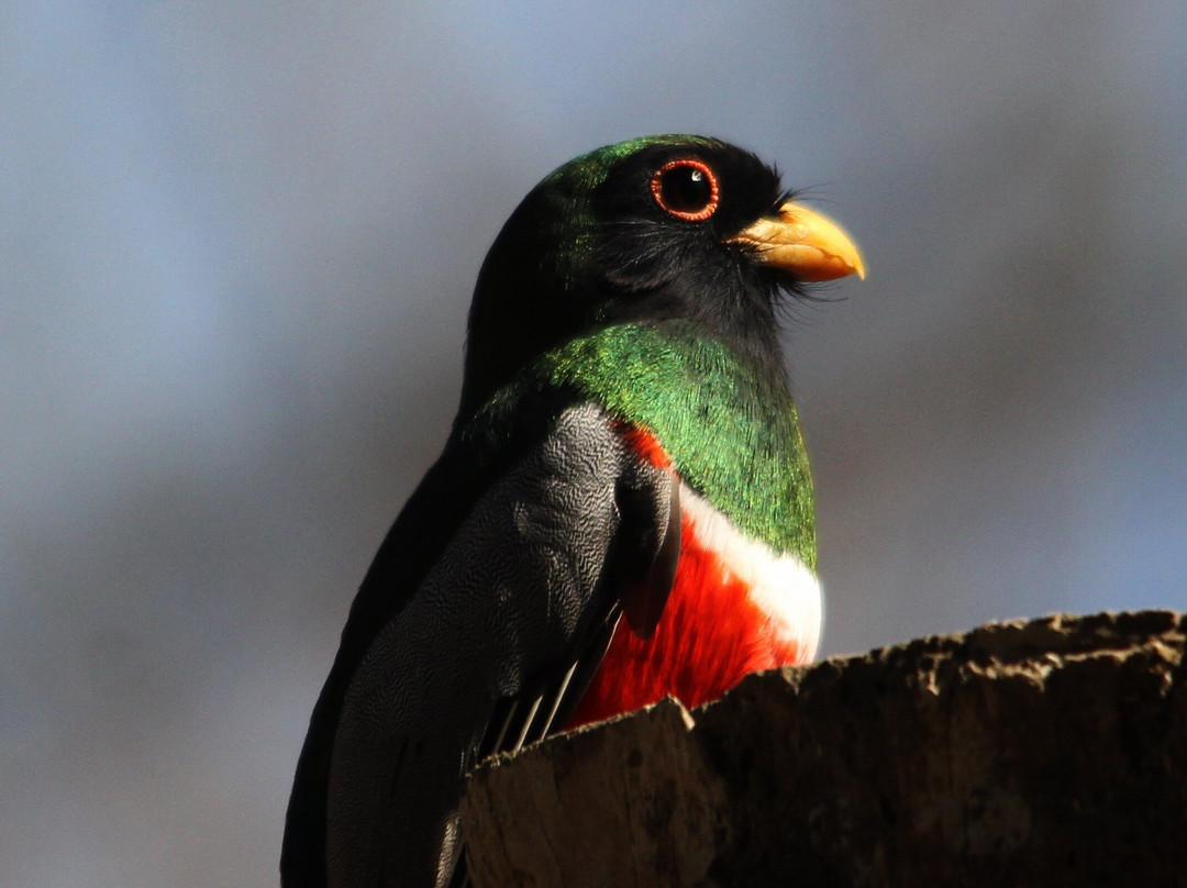 ECOTOURS VALLARTA-San Sebastian del Oeste必去景点