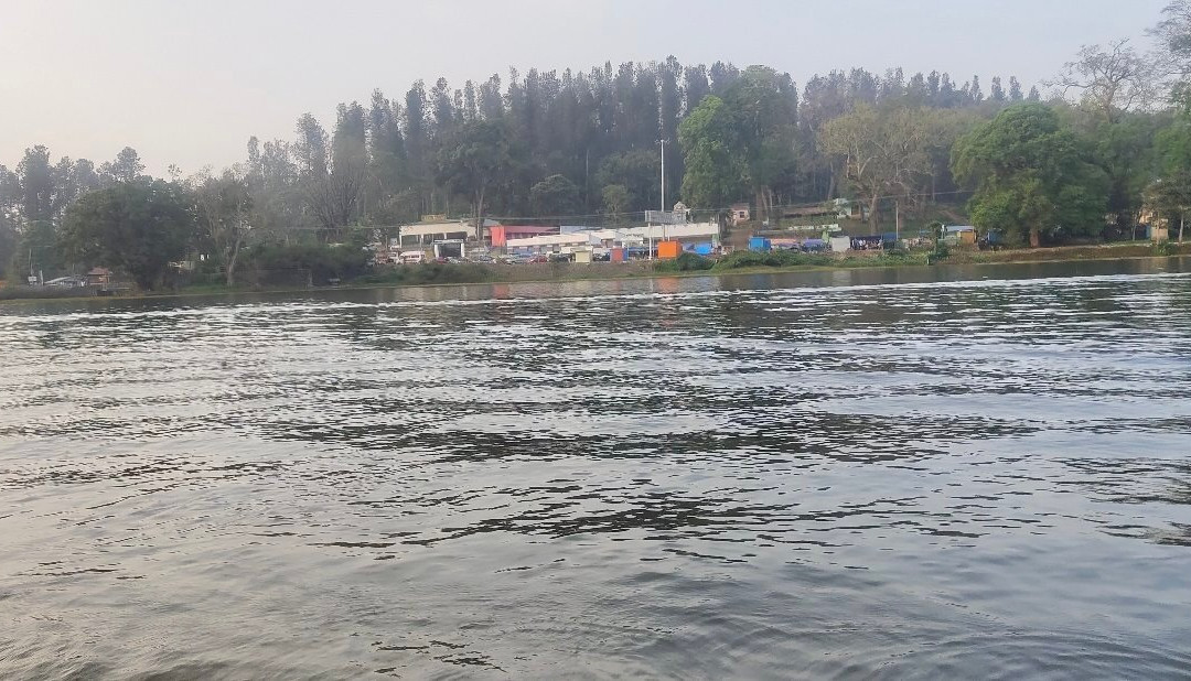 Yercaud Lake-亚尔考德必去景点
