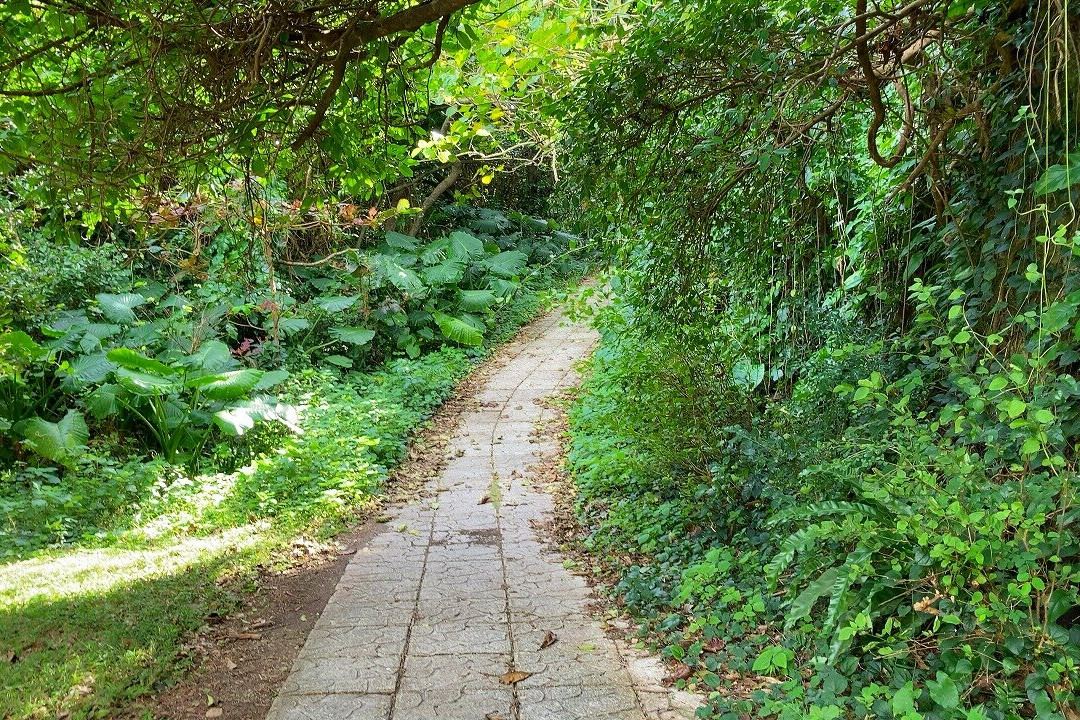 Tako Park-宫古岛市必去景点