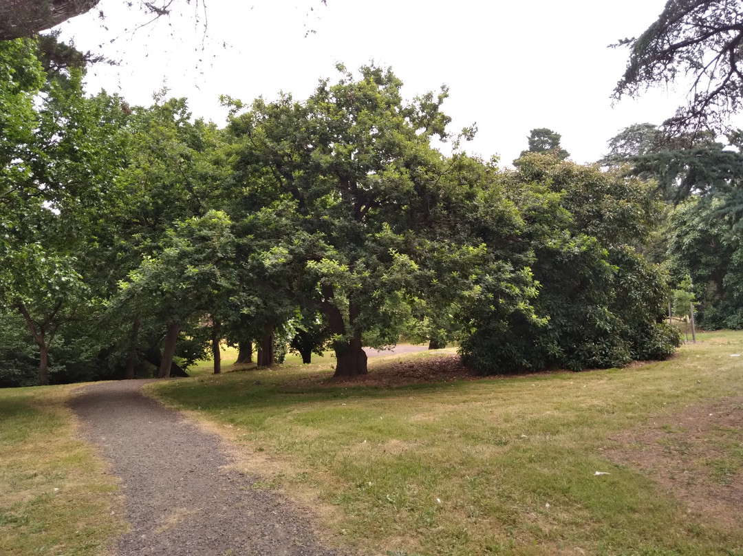 Walter J Smith Reserve-Riddells Creek必去景点