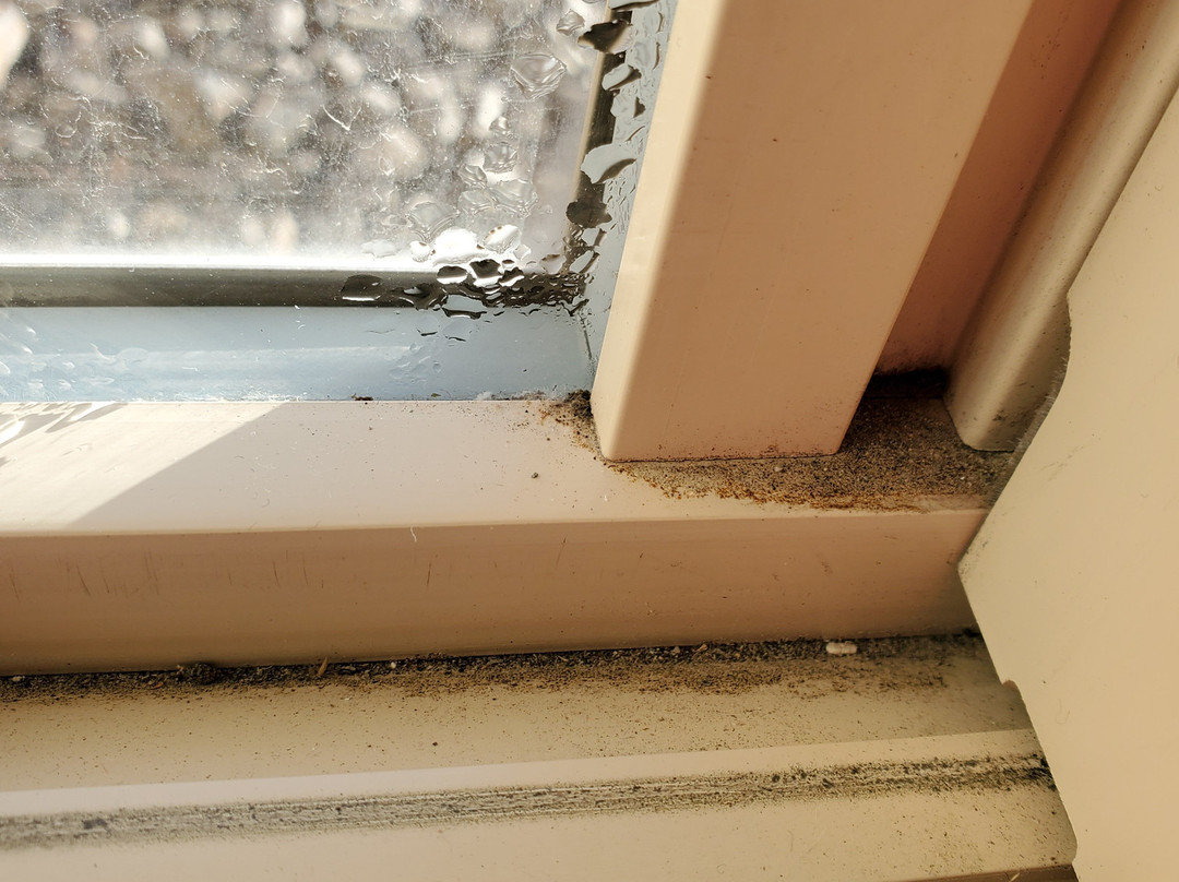 Comfort Suites主图