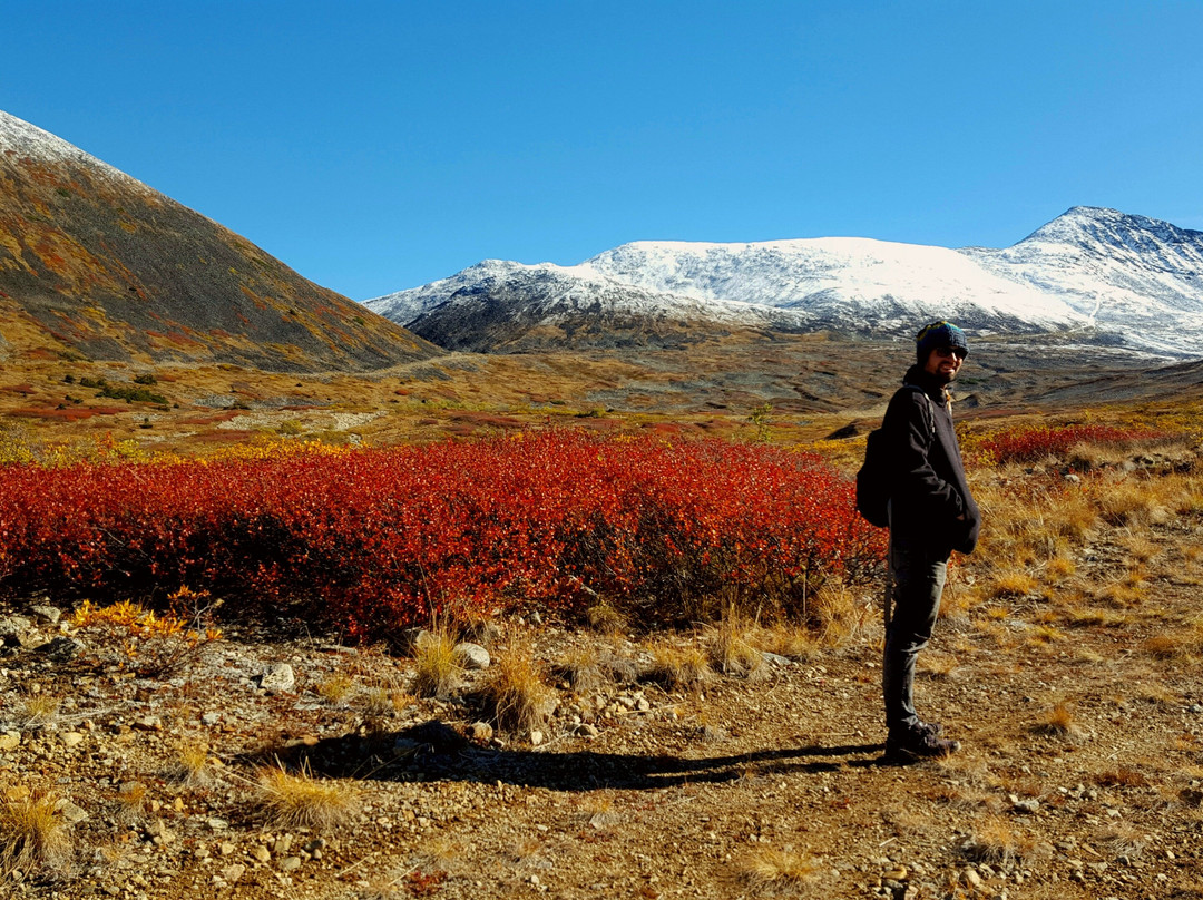 Atlin Backcountry Adventures-Atlin必去景点