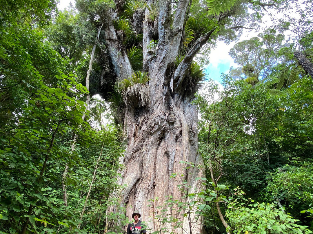 Bushy Park Sanctuary景点图片