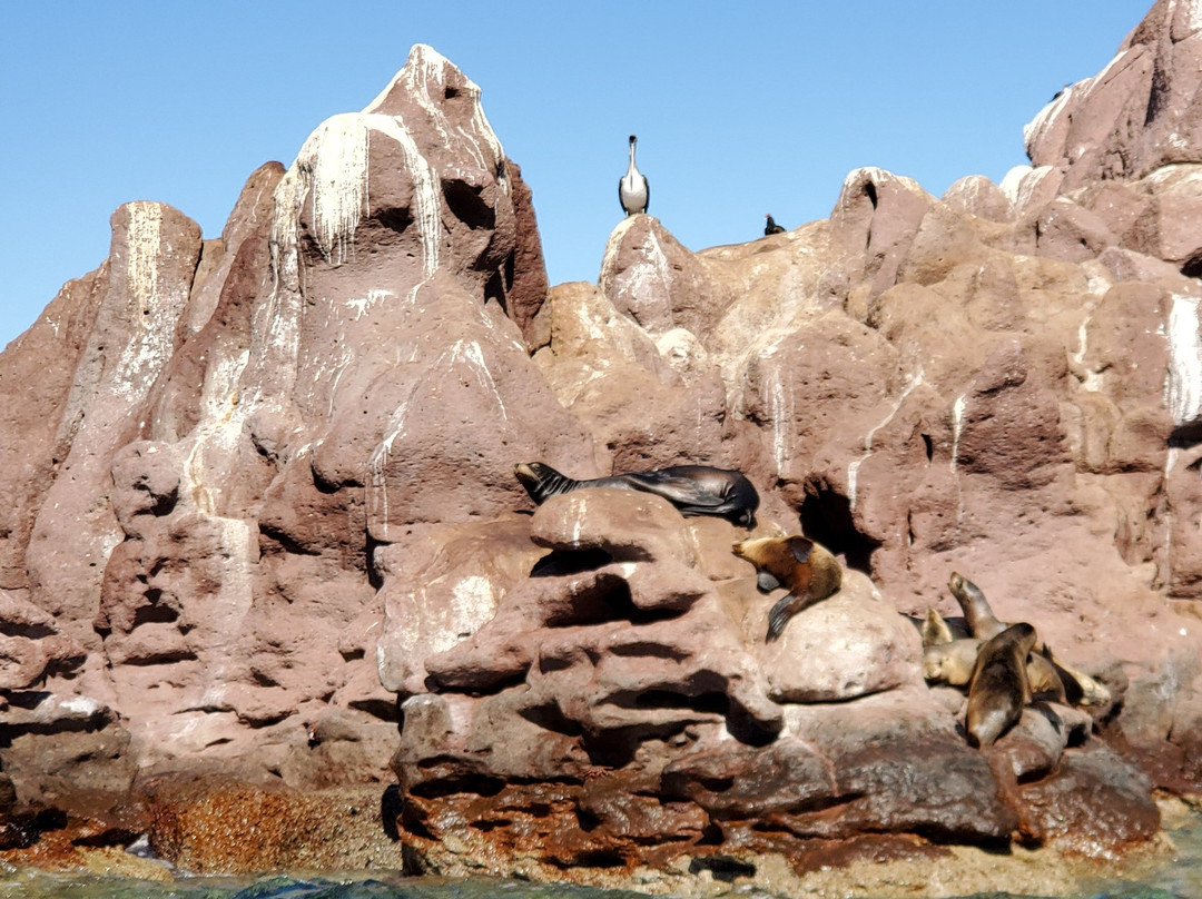 Espiritu & Baja Tours-拉巴斯必去景点