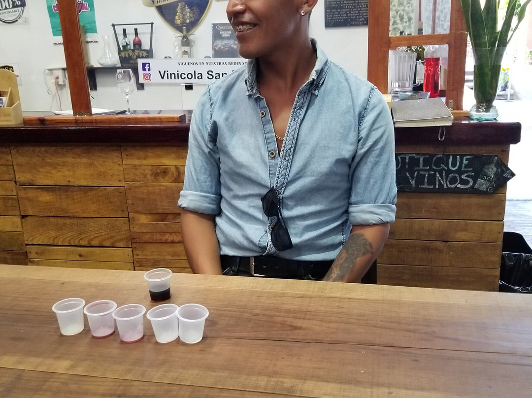 Vinicola San Patricio-Tequisquiapan必去景点