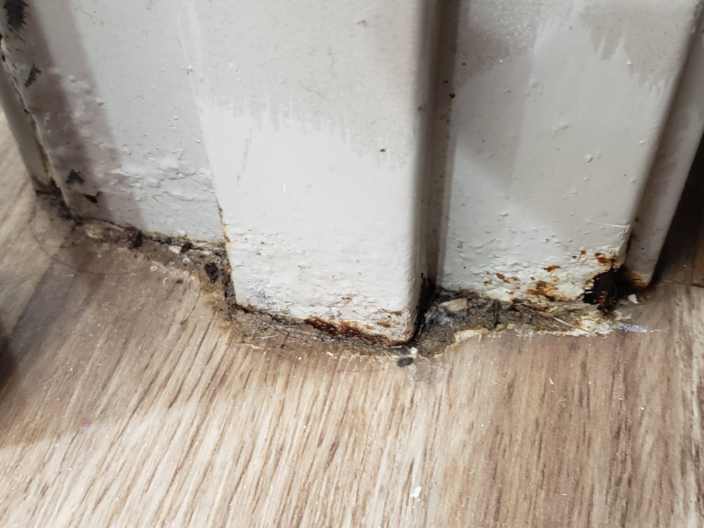 La Quinta Inn & Suites by Wyndham Mathis主图