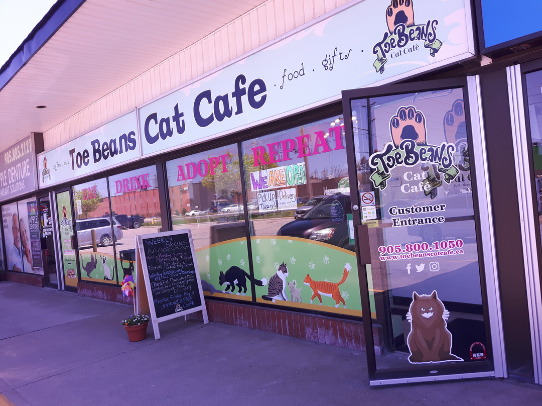 Toe Beans Cat Cafe