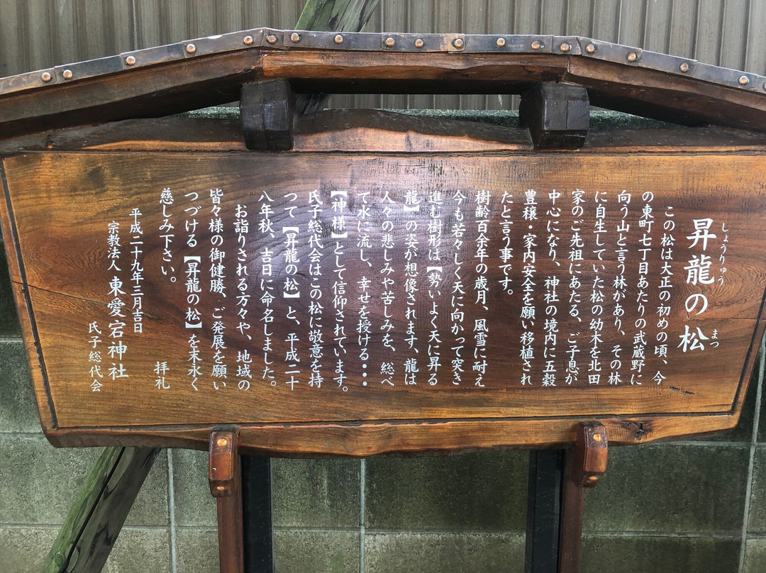 Higashiatago Shrine-入间市必去景点