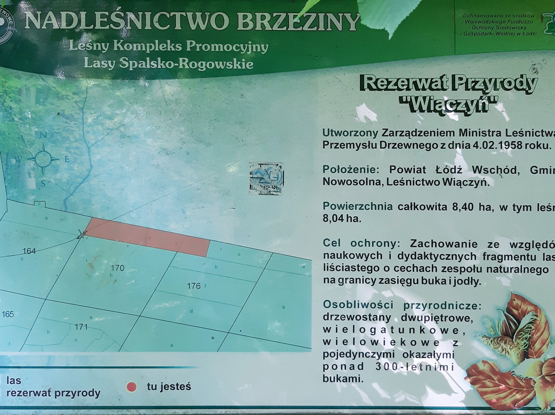 Rezerwat przyrody "Wiączyń"景点图片