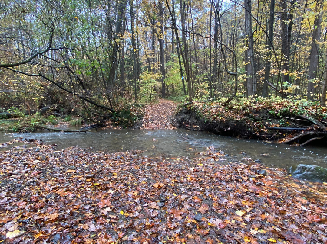 Big Creek Park-Chardon必去景点