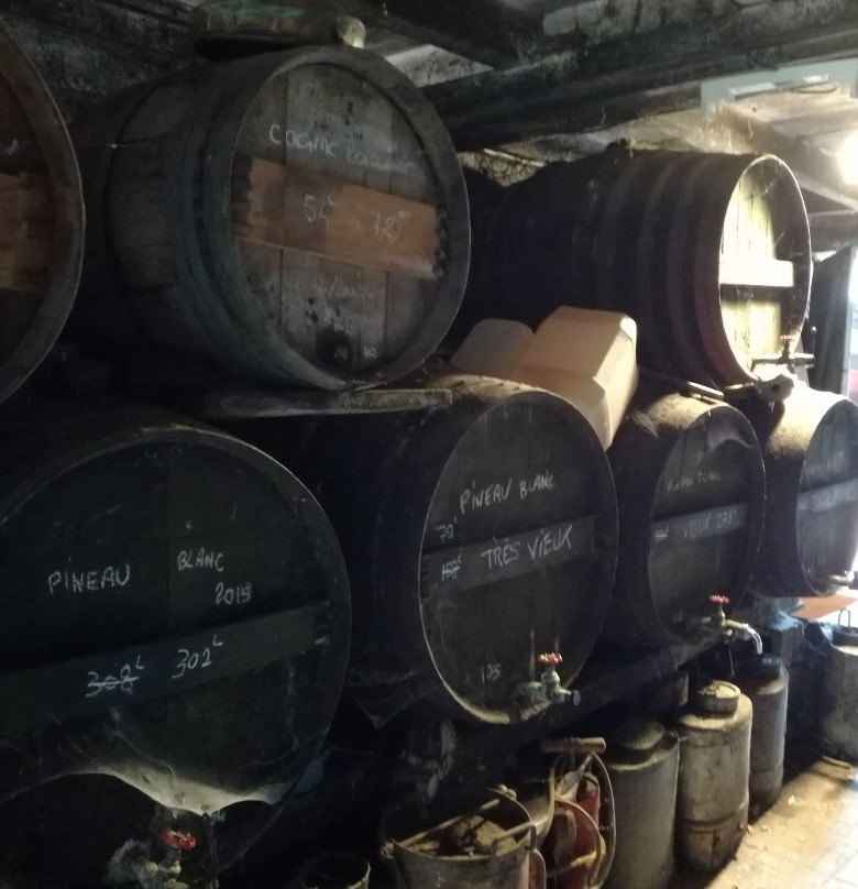 舒勒住宅酒店主图