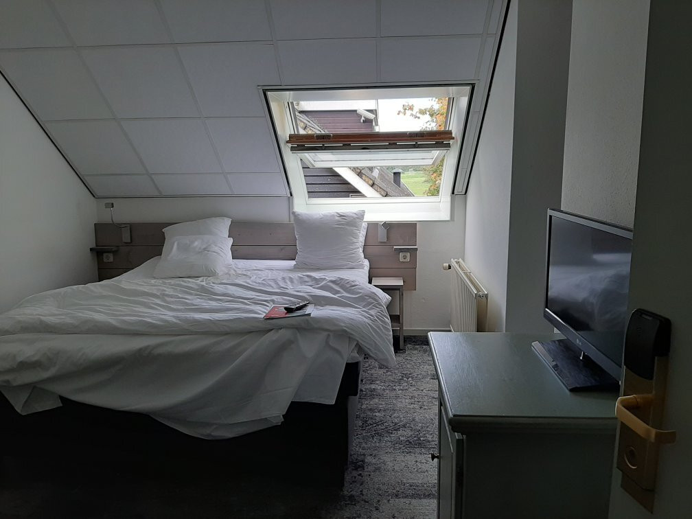 Dorhout Mees景点图片