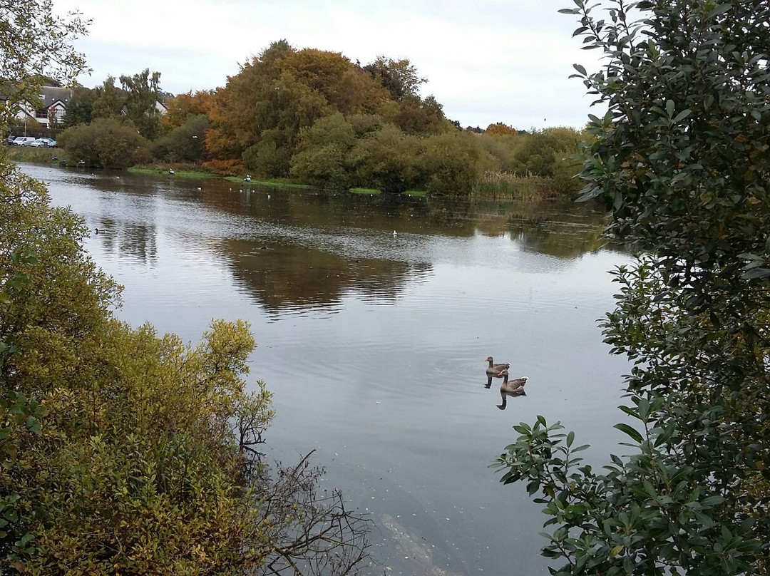 Kiltonga Nature Reserve景点图片