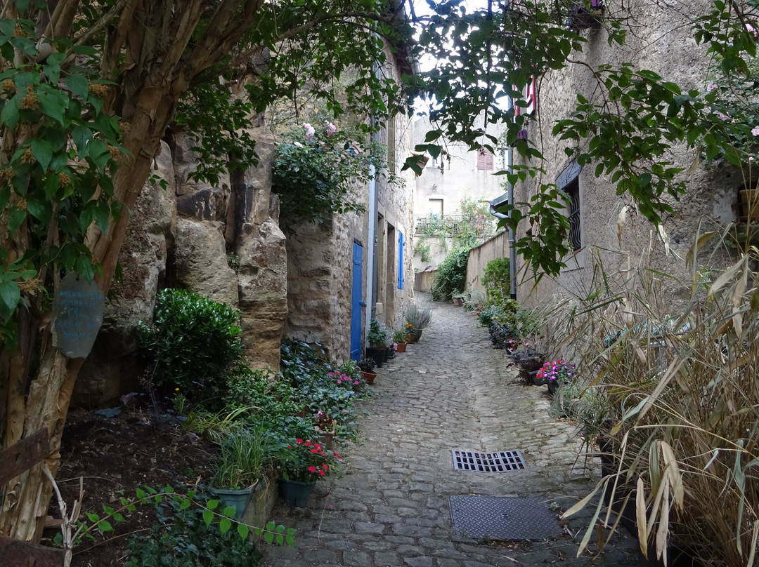 La Citadelle de Rodemack景点图片